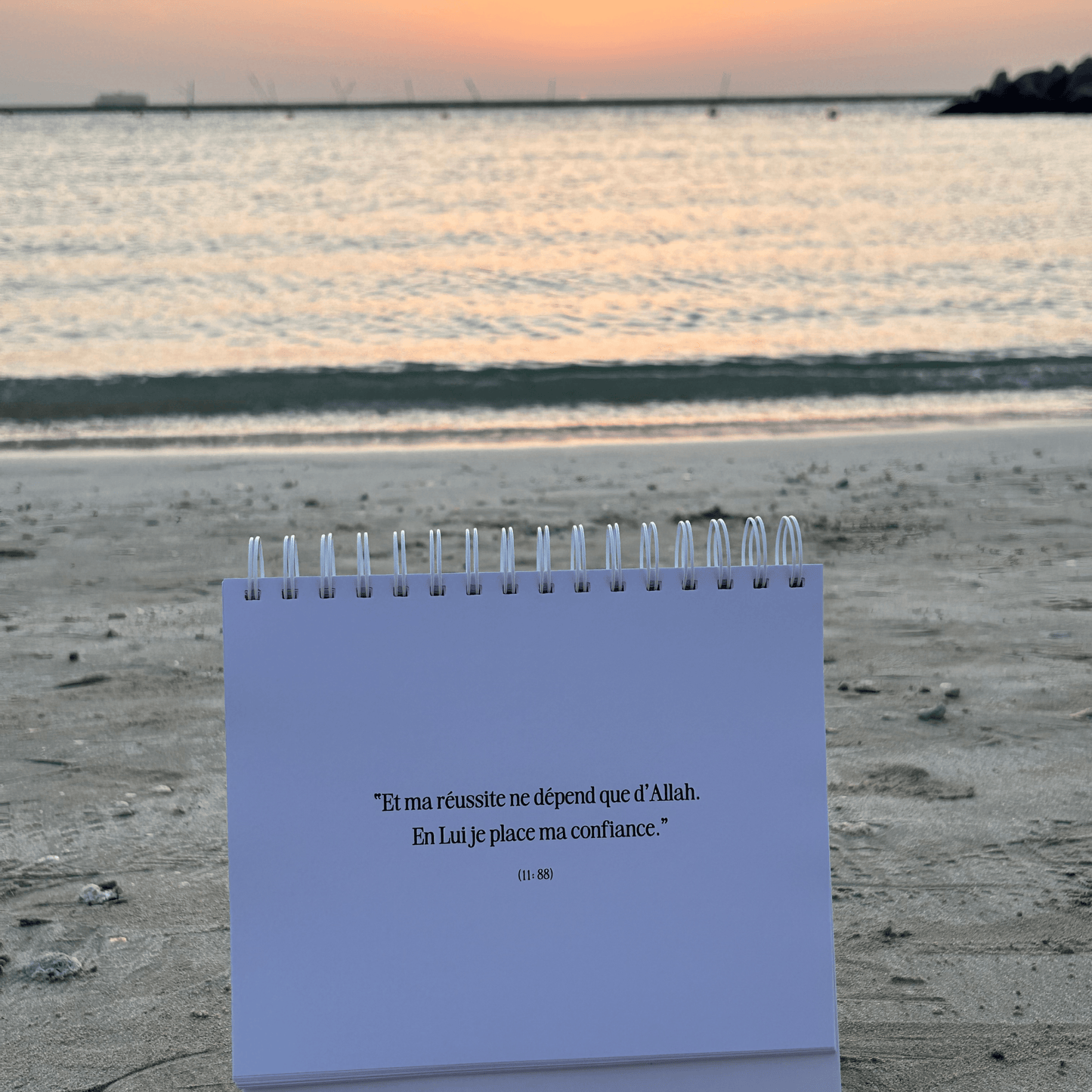 Desk citations - thatmuslimgirl